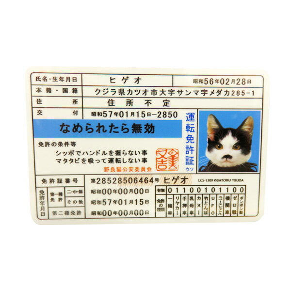 ゼネラルステッカー なめ猫 ステッカー 免許証 ヒゲオ なめんなよ デカール シール ネコ 車 リアガラス..