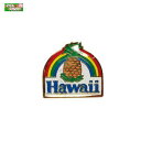 PICK The HAWAII ハワイアン ピンバッジ パイナップルレインボウ バッジ かばんやキャップ帽などに ハワイ お土産 KC-PB-PNR