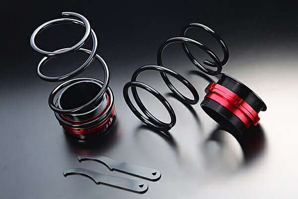 リア車高調キット ダイハツ ネイキッド L760S (4WD) シュピーゲル/Spiegel RKD3