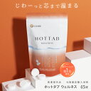 楽天1位【公式】入浴剤 ホットタブ 45錠 [医薬部外品] 重炭酸 ウェルネス 薬用 HOT TAB 秋 ギフト プレゼント 睡眠 保湿 乾燥 肌 温活 疲労 温泉 冷え 高級 半身浴 中性 高濃度 塩素中和 無香料 無添加 赤ちゃん 女性 男性 肩こり 腰痛