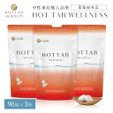 ホットタブ 薬用 HOT TAB ウェルネス 重炭酸 冷え性 ギフト プレゼント 重炭酸湯 中性 高濃度 塩素中和 タブレット 90錠 3袋セット ｜しっしん にきび 肩こり 腰痛 あせも ※あす楽対応は休業日を除く※