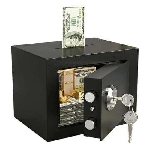 ホームセーフ - 鋼製小型金庫 現金保管用 硬貨投入口付き - 耐火性 携帯用 貴重品保管庫 書類 硬貨 個人用 屋内 旅行 自宅 住宅・ホテル