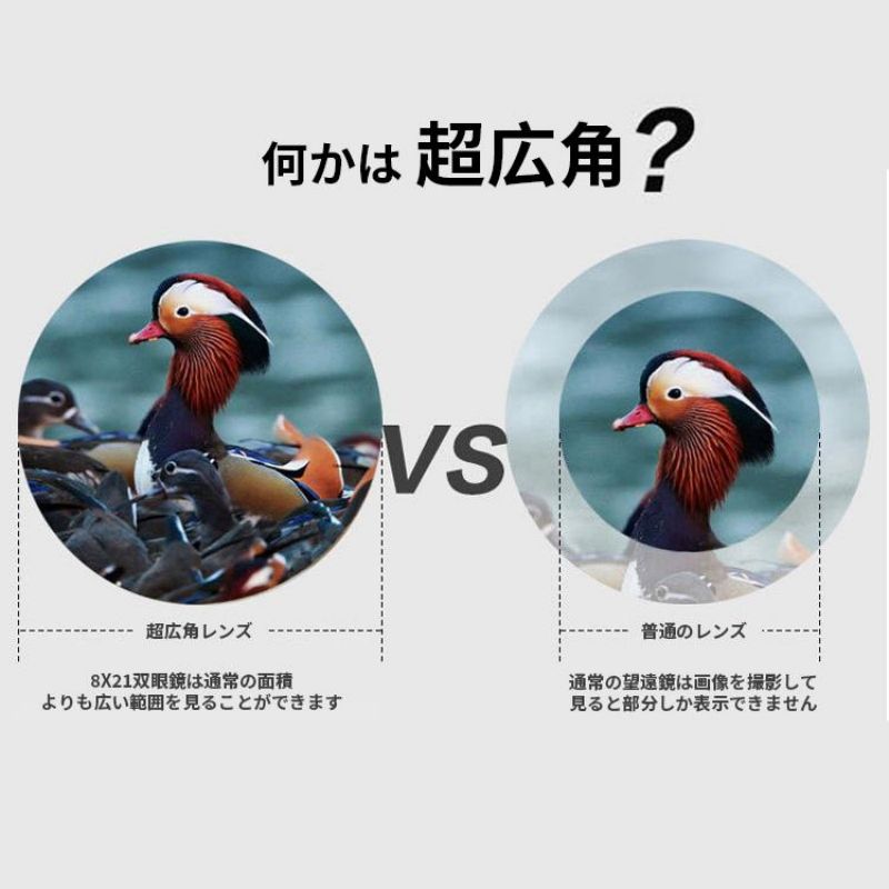 �д�� ���󥵡��� ����Ψ �饤���� 8�� BAK4������ ���� �ᥬ�ͤ������ޤ� �ڤ�����ѥ��� ������ �ѷ� ����վ�