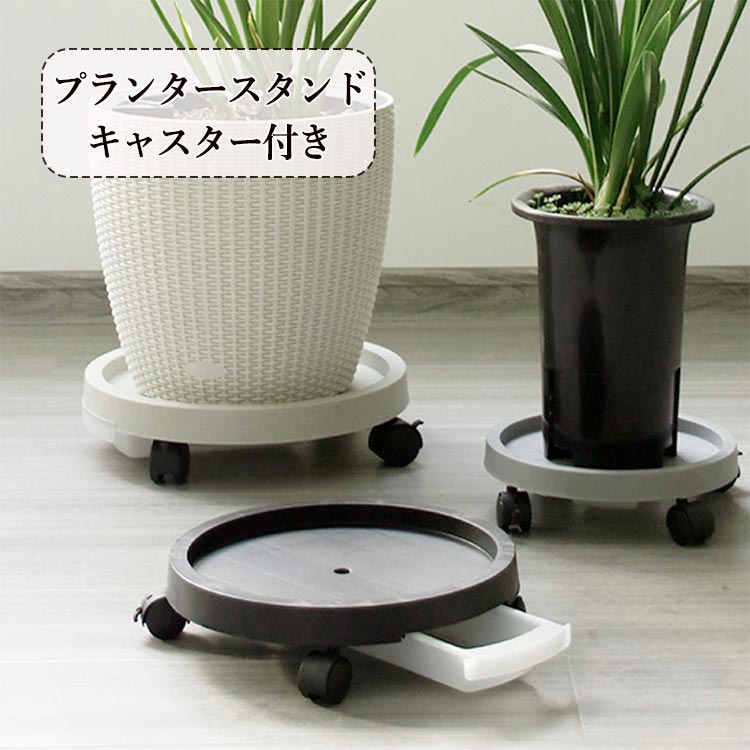 観葉植 鉢植え台 トレイ 受皿 TRAYおしゃれ PLANTS プランツトレー 鉢台 キューブ 花台 円形 キャスター付き 水受け 鉢皿 受け皿