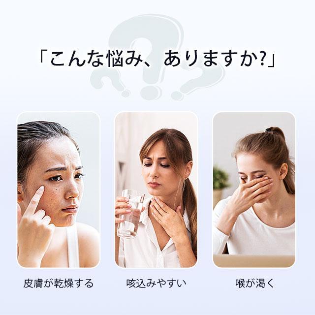 ダブルノズル 加湿器 超音波式 大容量 3L 卓上 空気加湿機 上部給水 USB充電 3段階調節 自動湿度調節 焚き防止 静音 節電 省エネ コンパクト 寝室 オフィス