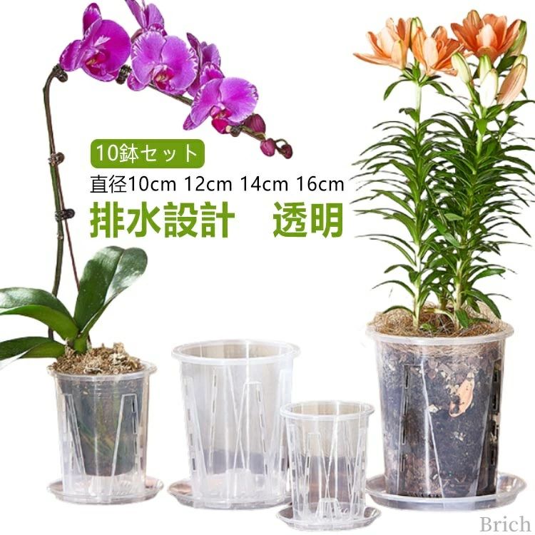 受皿付き スリット鉢 鉢 植え替え 観葉植物の植え替え 根が見える鉢 クリア 観葉植物の鉢 プラスチック