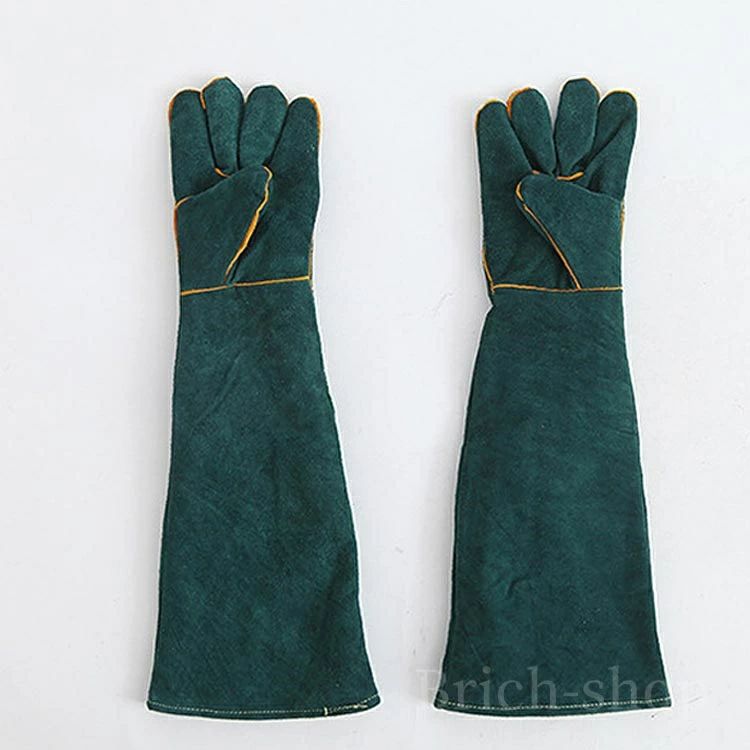 ���� BBQ �� ����� �����ߤ� ���ڤ� �ð�դ������� �ѵ��� ǭ �������� �����ǥ˥� ������ ������