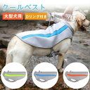 大型犬 冷感ベスト 夏 熱中症対策 通気性 メッシュ Dリング付き 簡単着脱 アウトドア お散歩 お出かけ