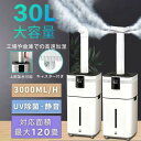 4段階霧量調整可能 霧量800ml/h 知能恒湿 UV除菌 上から給水 大容量 16L 超音波式 スチーム式
