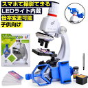 子供 学生 撮影 スマホ 100〜1200倍 生物顕微鏡と反射顕微鏡 知育 生物学教育実験 初心者顕微鏡