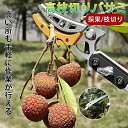枝分け 枝切り 太枝切鋏 園芸用はさみ 高所 SK5 高枝用 高枝鋏 剪定鋏 伸縮式 鋸付き 伸縮式高枝切鋏 5m 4m 3m