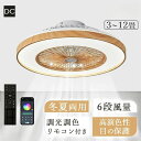 10 静音 風量調節 DCモーター 木目調 ファン付き照明 電気 サーキュレーター シーリングライト 調光調色