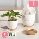 マーブル模 陶器鉢 受皿付き 円形 通気性 陶器 排水穴付き 大口径 鉢植え シンプル 北欧 植木鉢 セラミック製
