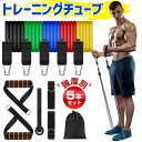 エク トレーニング ダイエット チューブ 筋トレ ストレッチ 高強度 エクササイズバンド 強度別 5本セット