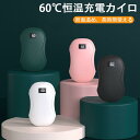 プレゼント おしゃれ 携帯カイロ 使い捨てないカイロ 充電式 カイロ アウトドア 通学 通勤 ハンドウォーマー 収納ポーチ 速暖 コンパクト モバイルバッテリー かいろ 電気カイロ 充電カイロ 使える 繰り返し