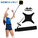 バ トレーナー 練習 自主練 サーブ サービス サーブ練習 トレーニング 1人 バレー練習 上達 練習器具 トス