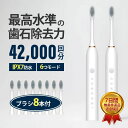 防水設 IPX7 歯ブラシ 超音波 本体 充電式 音波歯ブラシ 替えブラシ8本付き 替えブラシ 電動歯ブラシ