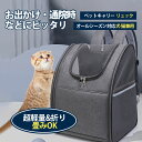 病 軽量 移動 折りたたみ ドライブ 小型犬 ペットリュック キャリーリュック 折りたたみ 犬 猫 リュック キャリーバッグ