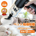 USB充電式 抜け毛取り 軽い ハンディ 犬猫用 小型 換毛期対策 毛玉取り コードレス 車 強力 ペット用 掃除機