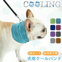 クールネック 【2個セット】 クールバンド 保冷剤不要 ペット 熱中症対策 ひんやり 冷却スカーフ クールバンダナ 首冷やす