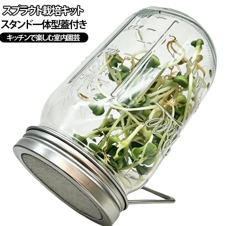 ガラス瓶 800ml スプラウト栽培容器 ブロッコリースプラウト メイソンジャー スタンド付き蓋 栽培キット ステンレス フィルター蓋付き 発芽容器 発芽栽培 種子発芽 スプラウト 野菜栽培 アルファルファ 水切り 家庭菜園 室内栽培 水耕栽培