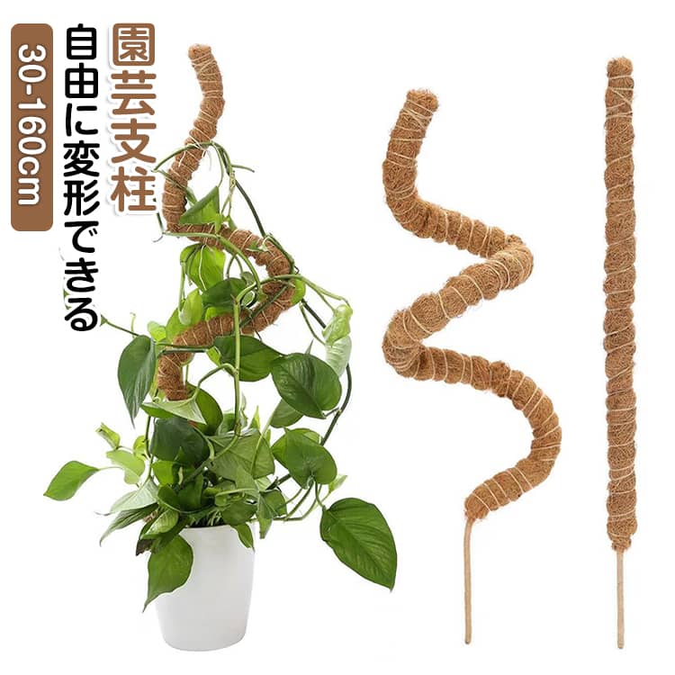 2本入り 2本入り 支柱 曲げられる DIY ココスティック つる性植物 園芸用 モンステ...