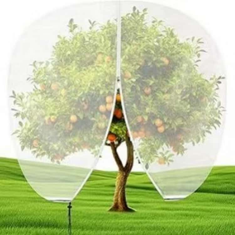 ATiCのネット 植物保護カバー 鳥よけ ファスナー付き 巾着式 2個セット 防虫ネット 5サイズ展開 菜園プランター用 鳥除け網 野菜網 2個セット 防虫カバー 通気性 野菜栽培 鉢植え用 防虫 防風 鳩よけネット 家庭菜園 果樹 ガーデン｜アングル2