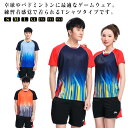 ゲームシャツ スポーツウェア 吸汗速乾 パンツ シャツ 卓球 メンズ 卓球ウェア ユニフォーム レディース トレーニングウェア 卓球ユニフォーム 通気性 上下セ...