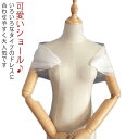 袖付き 肩掛け ショール 披露宴 付け袖 ワンピース ボレロ ウェディング ストール パーティードレス シフォン 送料無料 刺繍 大人 ドレス 花嫁 袖あり ウェディング 羽織物 袖付き 結婚式ドレス お呼ばれ 発表会 結婚式ボレロ