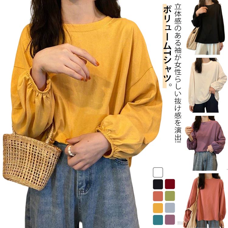 T����� �ܥ�塼��µ Ⱦµ �ȥåץ� �ѥե��꡼�� ����ӥ��С� �Х롼�󥹥꡼�� �ܥ�塼�ॹ�꡼�� �ܥ�塼��µ ��ǥ����� µ���󥷥㥹 �ץ륪���С� ...