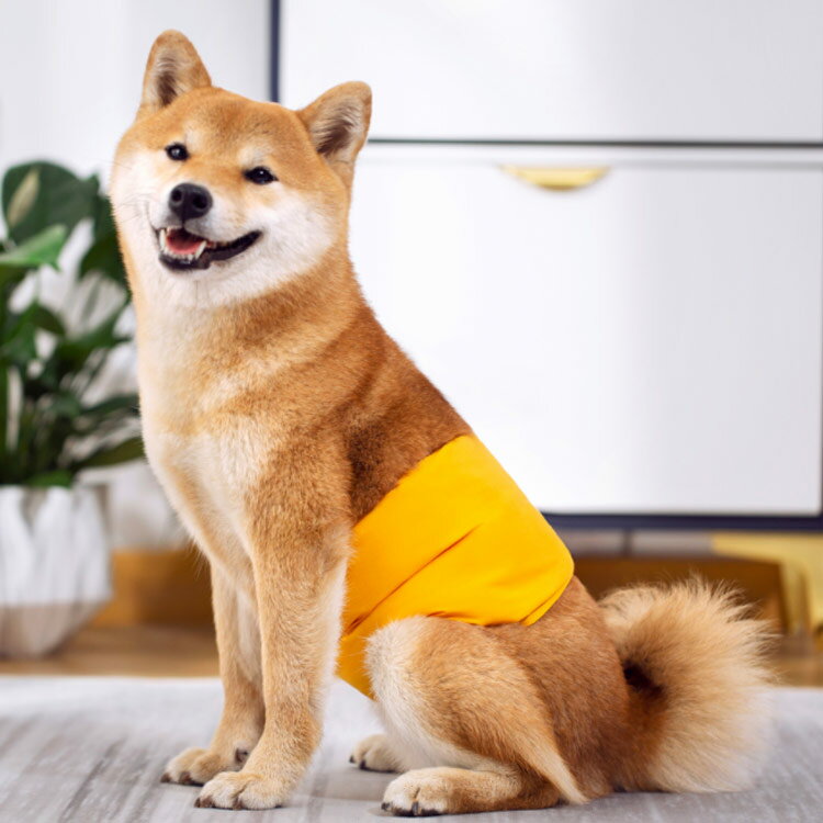 送料無料 犬用 マナーベルト マナーバンド おむつカバー ペット服 小型犬 中型犬 大型犬 男の子 マナーウェア いぬ用 トイレ用品 生理用 犬服 生理用品 散歩 尿もれ ズレ防止 マーキング防止 オシッコ対策 ペットウェア お出かけ 犬の服 数量限定セール 無地 しつけ 介護 送料無料 犬用 マナーベルト マナーバンド おむつカバー ペット服 小型犬 中型犬 大型犬 男の子 マナーウェア いぬ用 トイレ用品 生理用 犬服 生理用品 散歩 尿もれ ズレ防止 マーキング防止 オシッコ対策 ペットウェア お出かけ 犬の服 数量限定セール 無地 しつけ 介護