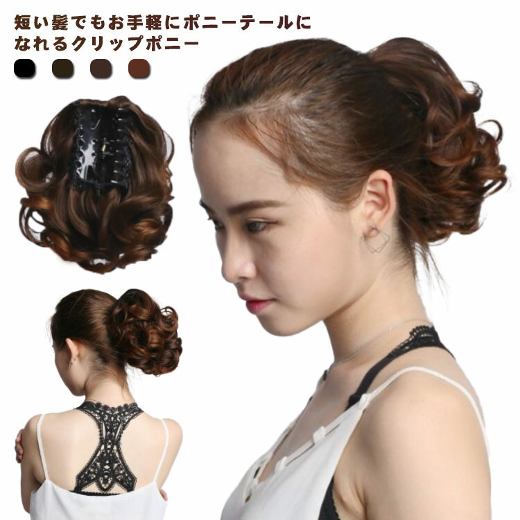 送料無料 エクステ つけ毛 ウイッグ クリップ型 部分ウィッグ ウィッグ 耐熱ウィッグ バンス ヘアアレンジ 簡単 wig エクステ ポイントウィッグ 自然 ナチュラル ウェディング 結婚式 女性 ポニーテール