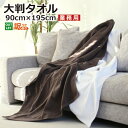 訳あり アウトレット 在庫限り超 大