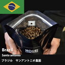 BRAZIL ブラジル サントアントニオ農園　200g　プレミアムショコラ 送料無料