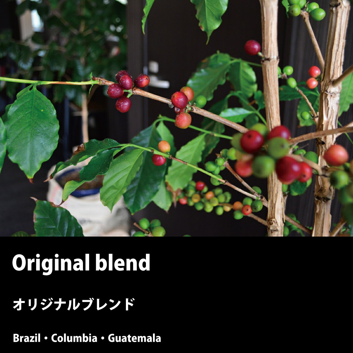 コーヒー豆 ブレンド コーヒー お試しセット ...の紹介画像2