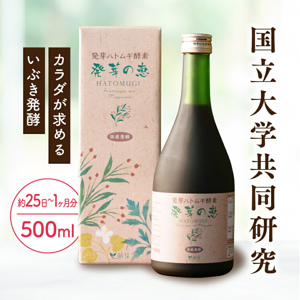 楽天市場】発芽 の 恵の通販