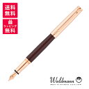 Waldmann ヴァルドマン タスカーニ 万年筆 WDMN-2282/0052
