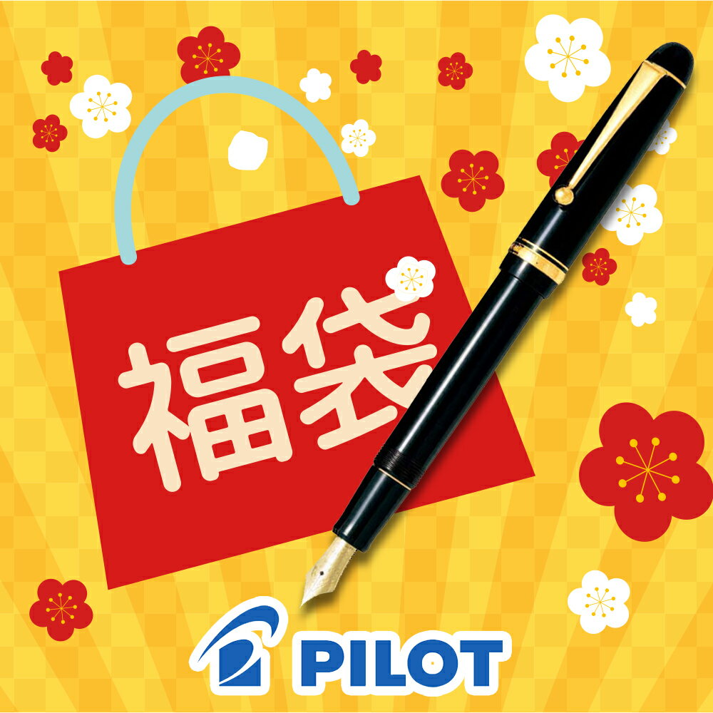 【2026年 福袋】パイロット PILOT カスタム74 万年筆 ブラック 黒 FKKN-12SR- ...