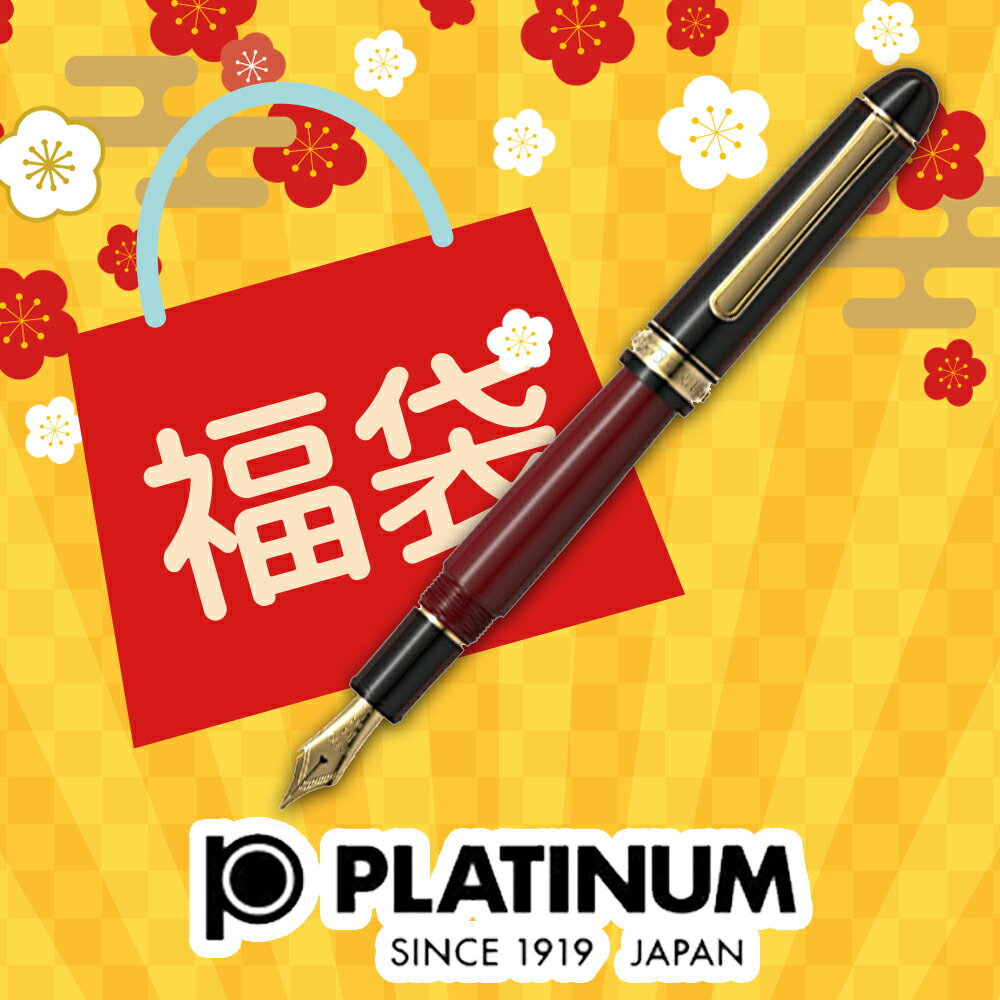 PLATINUM #3776 CENTURY #3776 プラチナ万年筆 センチュリー