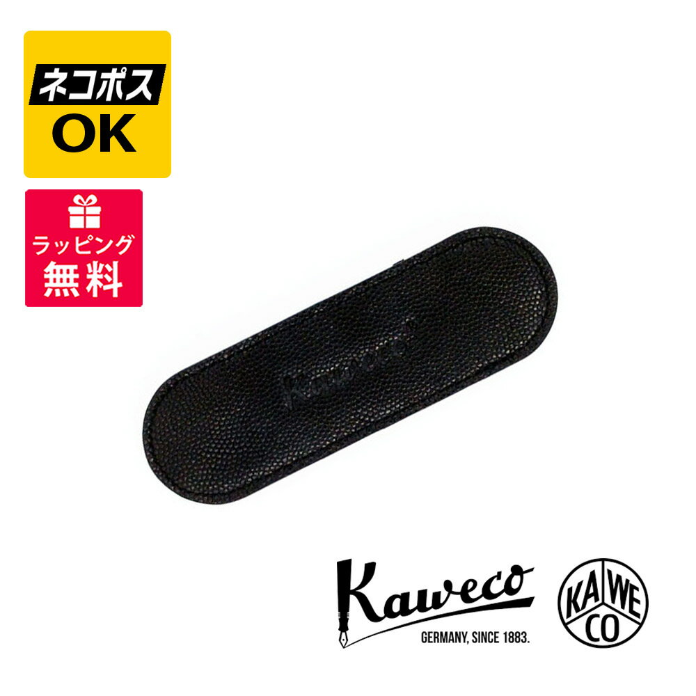 【ネコポスOK】Kaweco カヴェコ SPECIAL スペシャル 万年筆 ブラス KAWECO-PS-FPBR