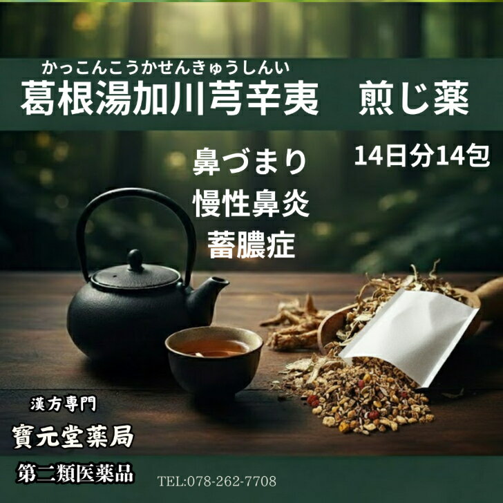 【第二塁医薬品】葛根湯加川芎辛夷14日分14包漢方煎じ薬鼻づまり　慢性鼻炎　蓄膿症　副鼻腔炎　お茶　ティーバッグ　漢方薬　和漢薬