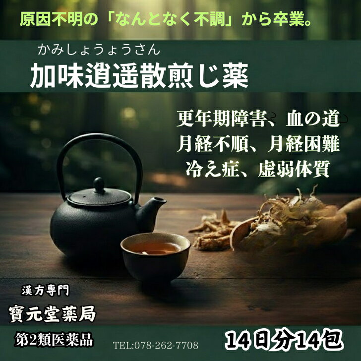 【第2類医薬品】加味逍遙散煎じ薬14日分14包更年期障害、血の道月経不順、月経困難冷え症、虚弱体質 「なんとなく不調」が続く女性へ。心と体の巡りをスムーズに整える。 5