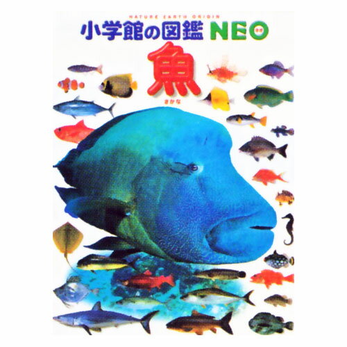 小学館の図鑑NEOシリーズ図鑑NEO　鳥・両生類はちゅう類・魚・水の生物・飼育と観察