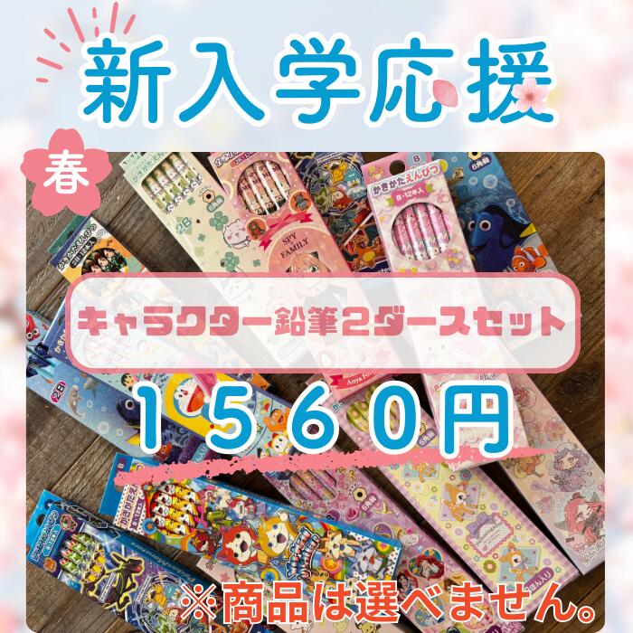 【名入れ無料】キャラクターかきかた鉛筆2ダースセット(2B)(B) 新入学 新学期 進級 卒業 卒園 お祝い