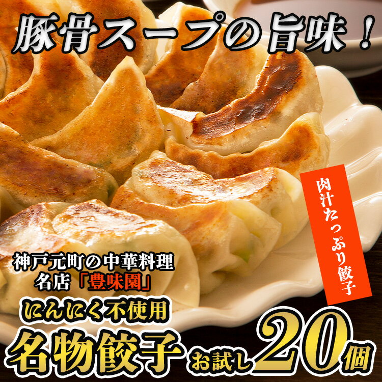 【送料無料】（手づくり餃子お試し20個）肉汁がたっぷりニンニクなし 手作りギョーザ 焼き餃子 中華点心 冷凍ギョーザ ニンニクなし ぎょうざ 野菜シャキシャキ 子どもパクパク食べる