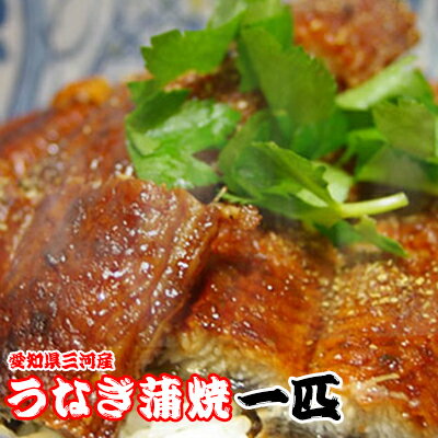 愛知県三河産鰻うなぎ蒲焼一匹