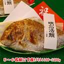 明石焼鯛5~6名さま位の大きさ<焼き鯛7月上旬発送分>【長寿のお祝い・お食い初め祝膳に焼き鯛】