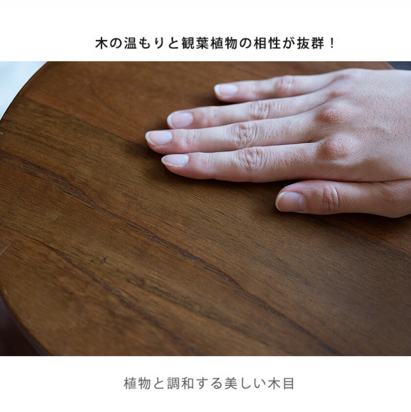 3つの高さで植物に立体感 天然木 プランタースタンド Mサイズ 木製 プランター台 ...