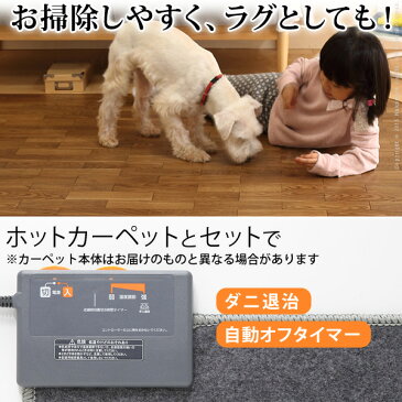 木目調カバー付き ホットカーペット 1.5畳 【送料無料】 一人用 電気カーペット 防水 フローリング調 撥水 激安 安い カバー付き 小さい ミニ