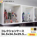 コレクションケース キューブボックスα 完成品 アクリル 扉 ロータイプ 卓上 フィギュアケース ディスプレイケース 棚 コレクションボード キュリオケース 収納 ショーケース 人形ケース フィギュアラック 安い 木製